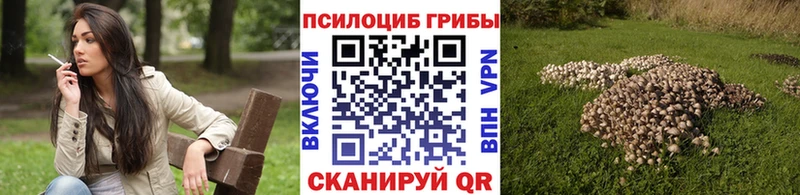Псилоцибиновые грибы мицелий  как найти закладки  Анива 
